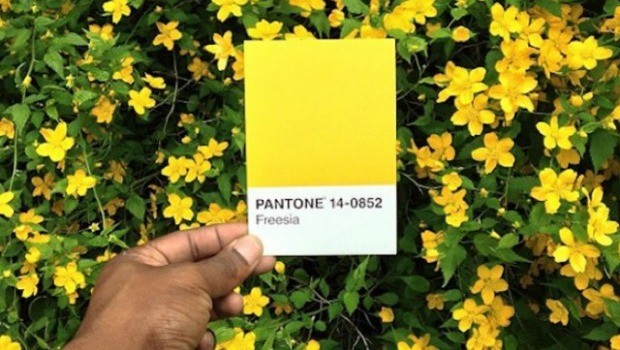 The-Pantone-Project-22