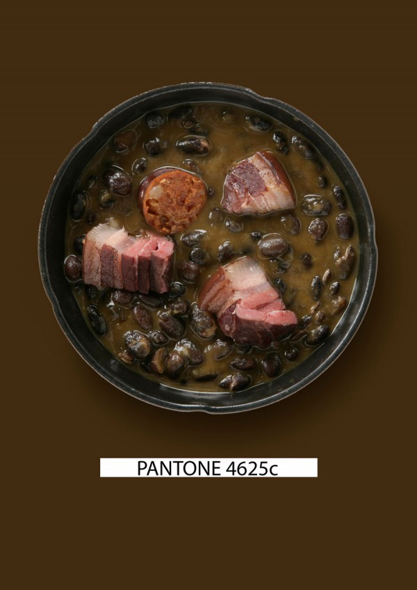 Pantone-food-alubias-negras