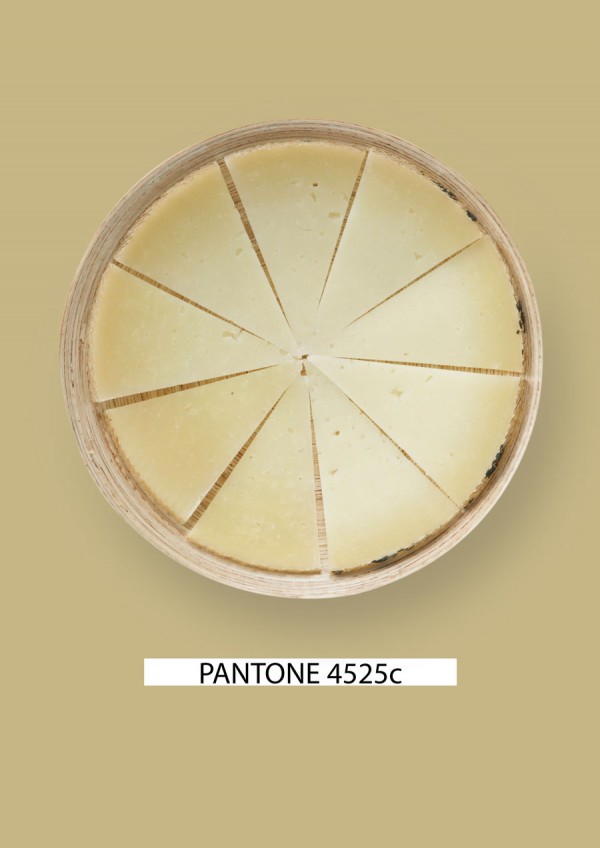 Pantone-food-queso-1