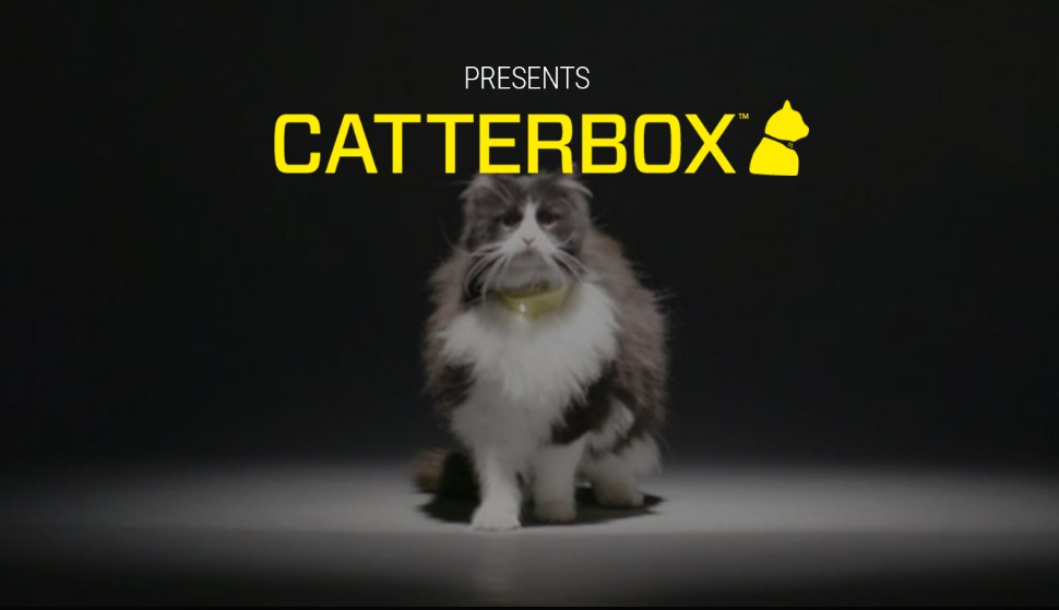 catterbox-temptations1