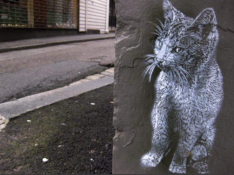 cats-c215-street-art03