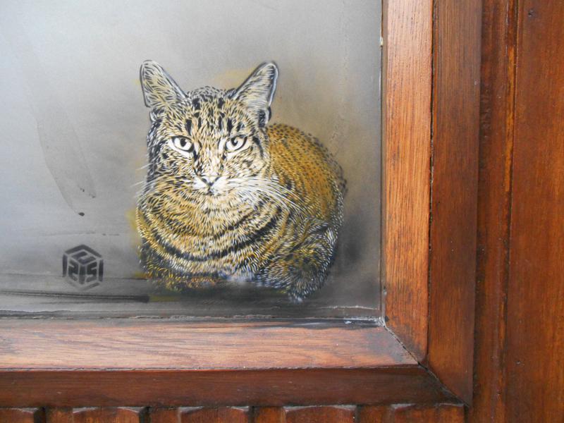 cats-c215-street-art07