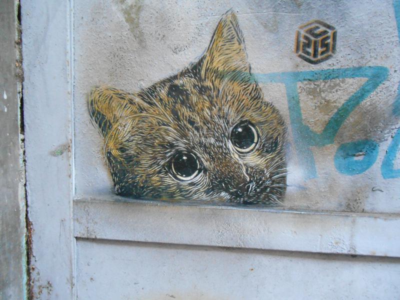 cats-c215-street-art08