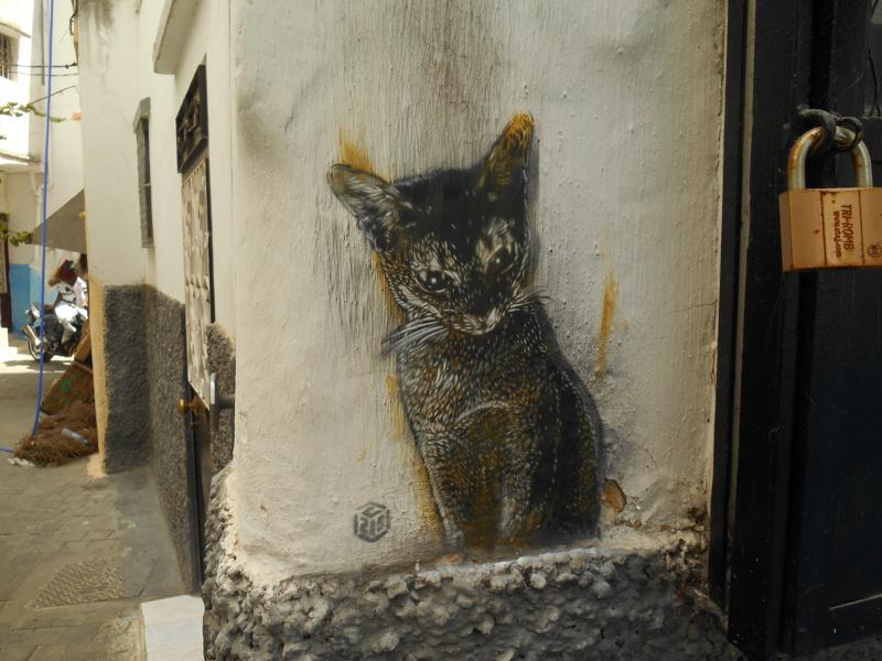 cats-c215-street-art09