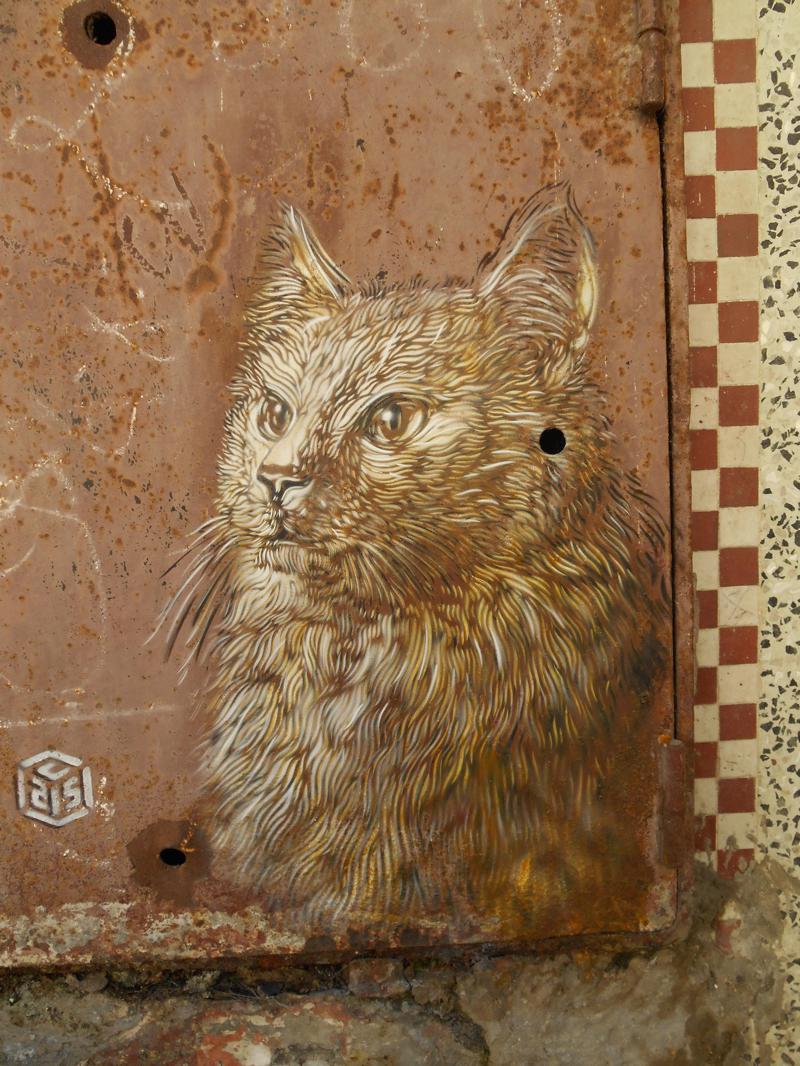 cats-c215-street-art10