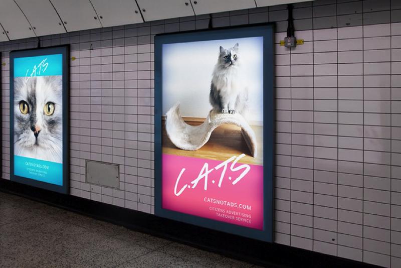 cats-london-advertising-00