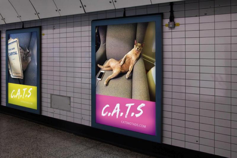 cats-london-advertising-04