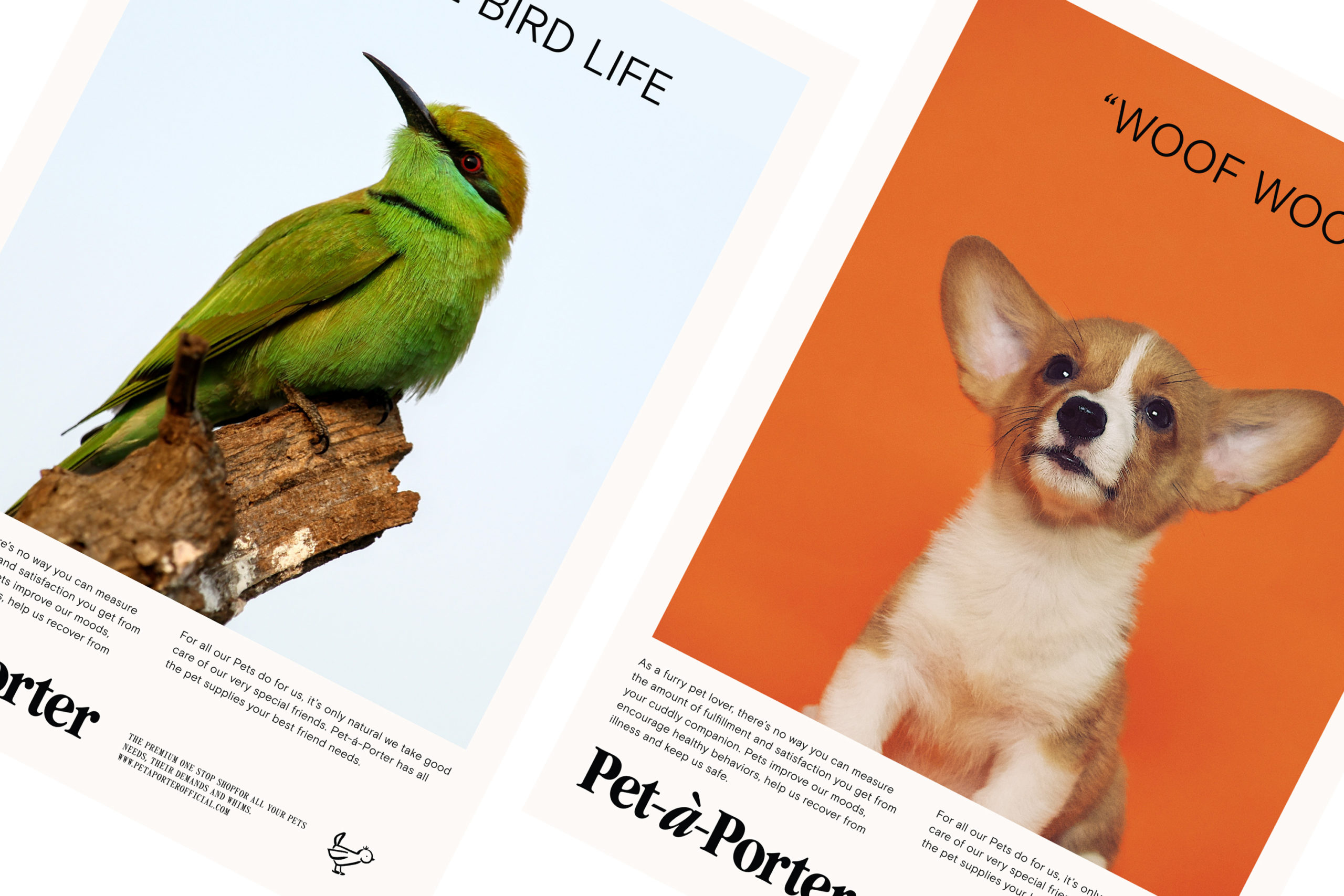 Pret a porter 02 La Criatura Creativa